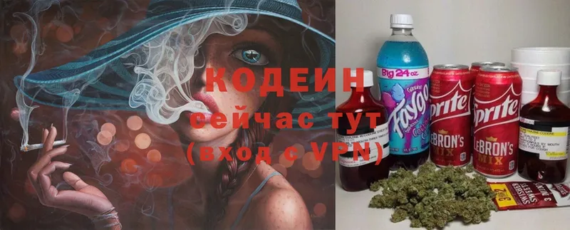 цена наркотик  Морозовск  Кодеиновый сироп Lean Purple Drank 