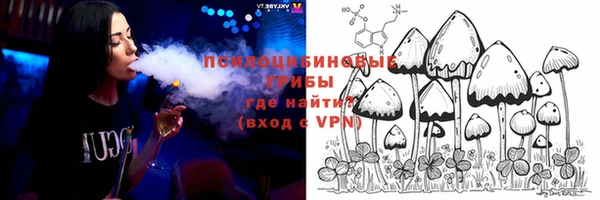шишки Нефтегорск