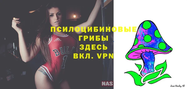 шишки Нефтегорск