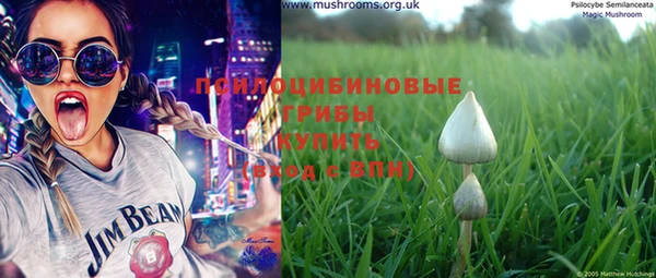 таблы Билибино
