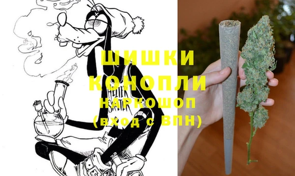 шишки Нефтегорск