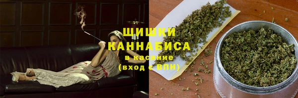 прущие грибы Навашино