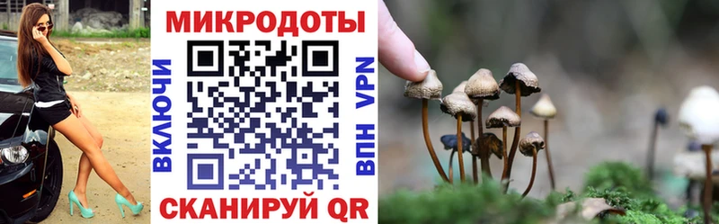 Псилоцибиновые грибы Psilocybe  Морозовск 